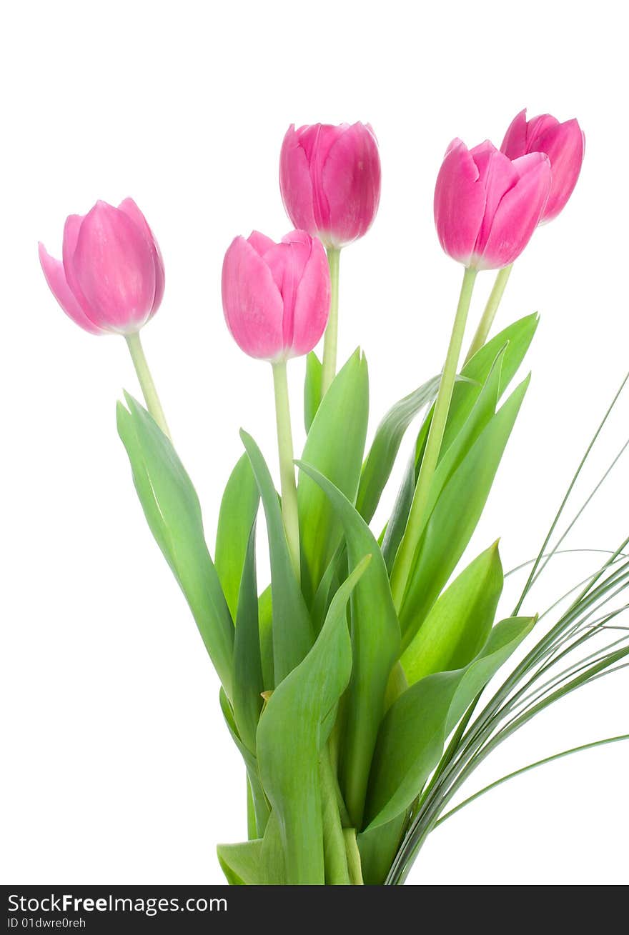 Five pink tulips bouquet