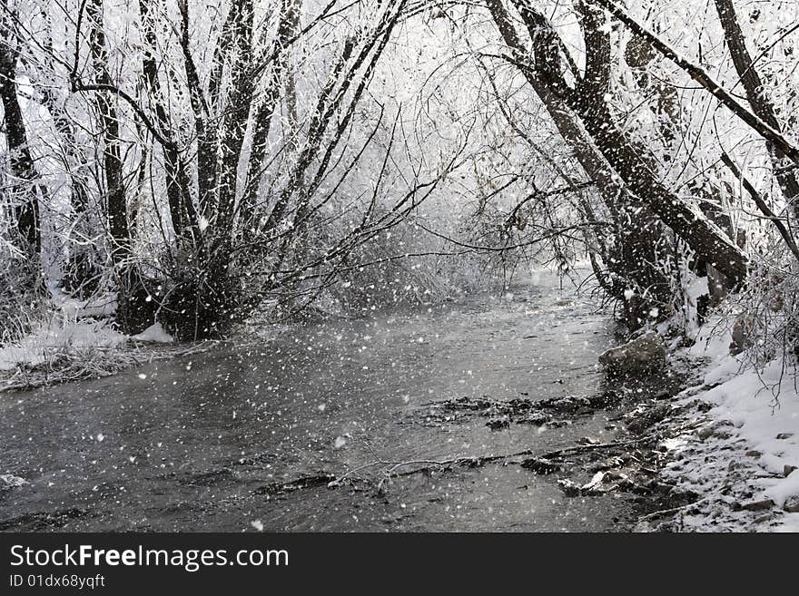 Snow falls on a winter day along a river bank. Snow falls on a winter day along a river bank