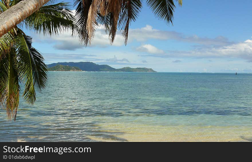 That picture was shot at Anse Volbert, Island of Praslin, Seychelles, 2008. That picture was shot at Anse Volbert, Island of Praslin, Seychelles, 2008.