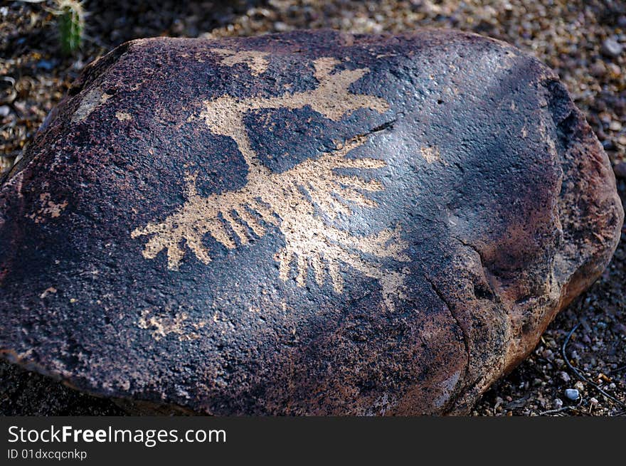 A rock with a Native American petroglyph of a bird. A rock with a Native American petroglyph of a bird.