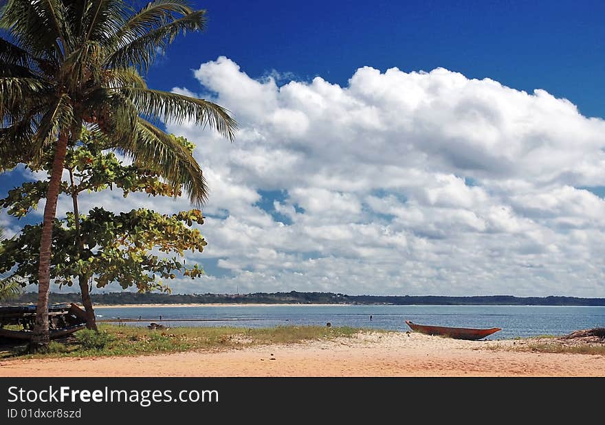 A beach in brazilian northeast. A beach in brazilian northeast.