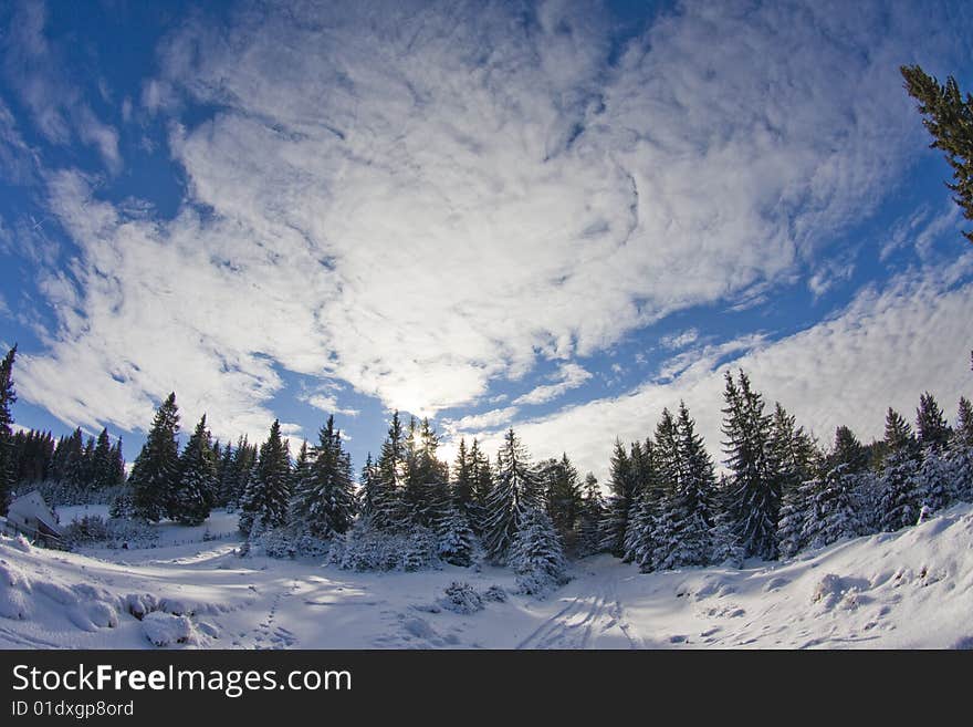 Winter landscape, mountains and trees