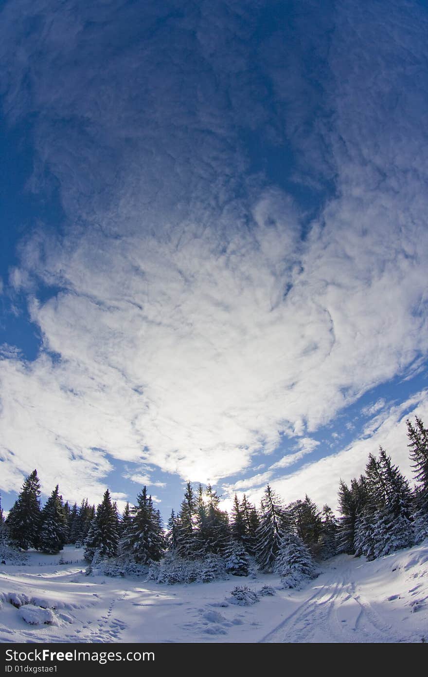 Winter landscape, mountains and trees