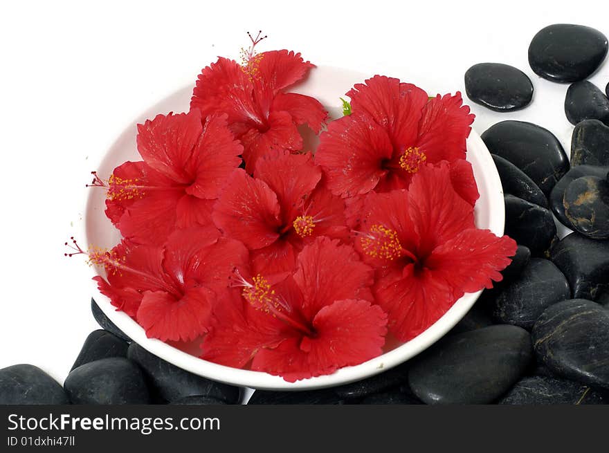 Red flowers in vase with stones. Red flowers in vase with stones