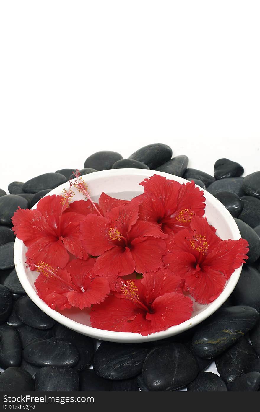 Red flowers in vase with stones. Red flowers in vase with stones