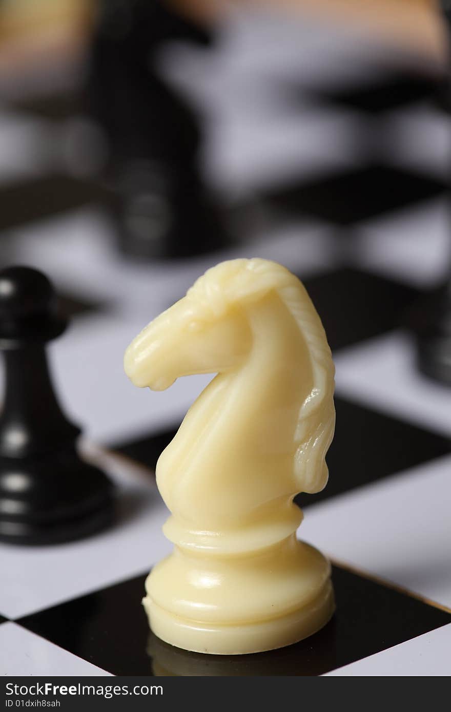 Portrait White Knight Chess Piece with shallow Depth of Field. Portrait White Knight Chess Piece with shallow Depth of Field