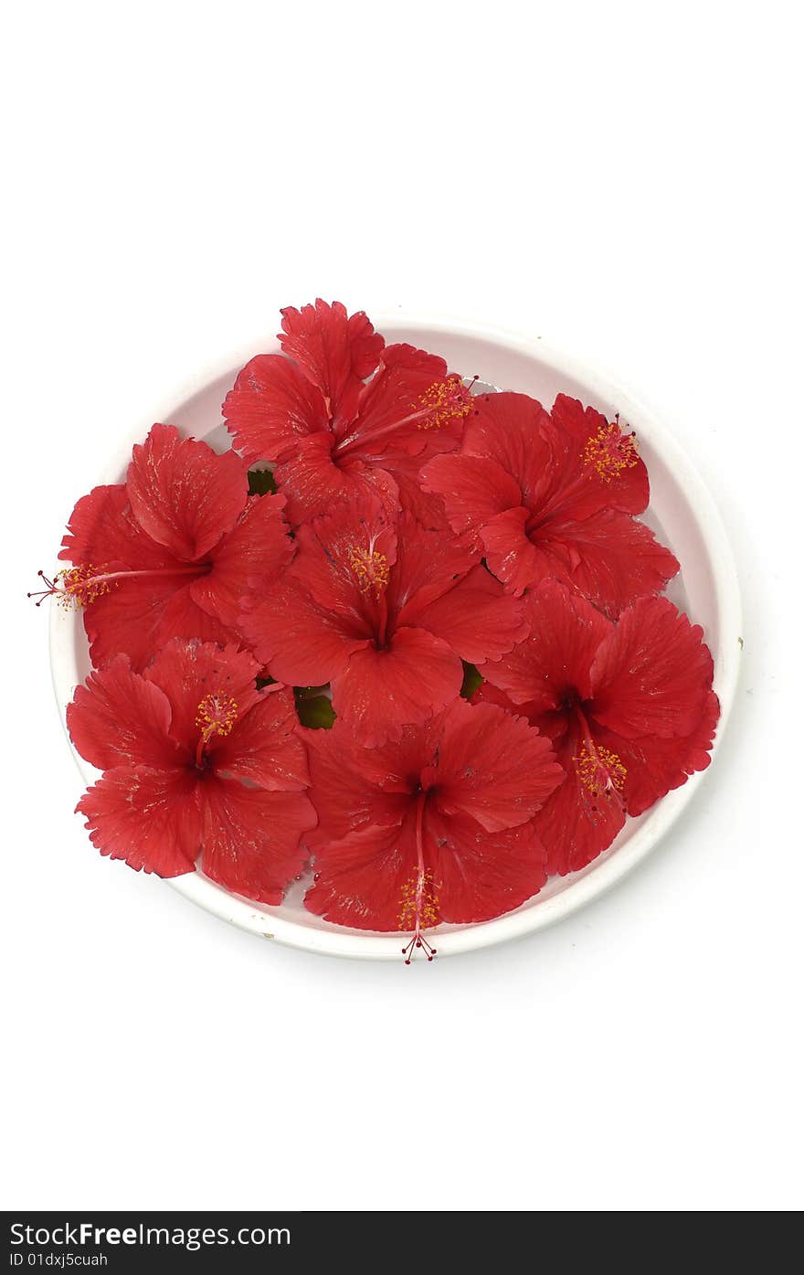 Red flowers in vase with stones. Red flowers in vase with stones