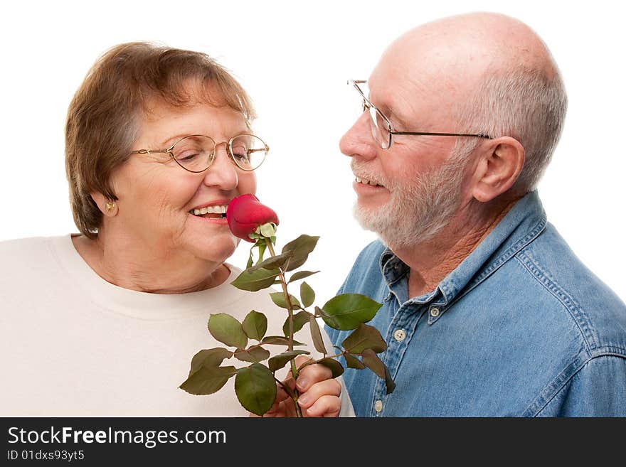 Happy Senior Couple with Red Rose Isolated on a White Background.