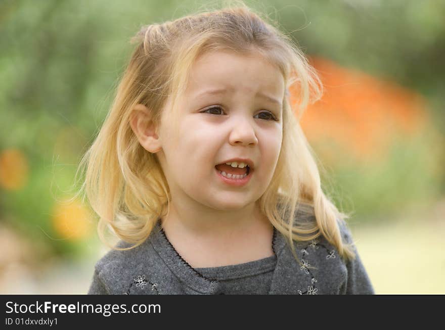 Blonde Little Girl In A Gray Sweater