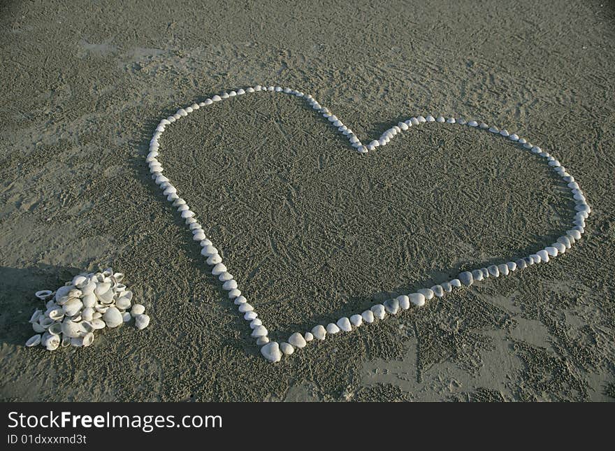 St.Valentines Shell Heart