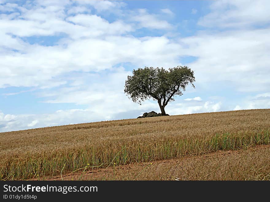 alentejo