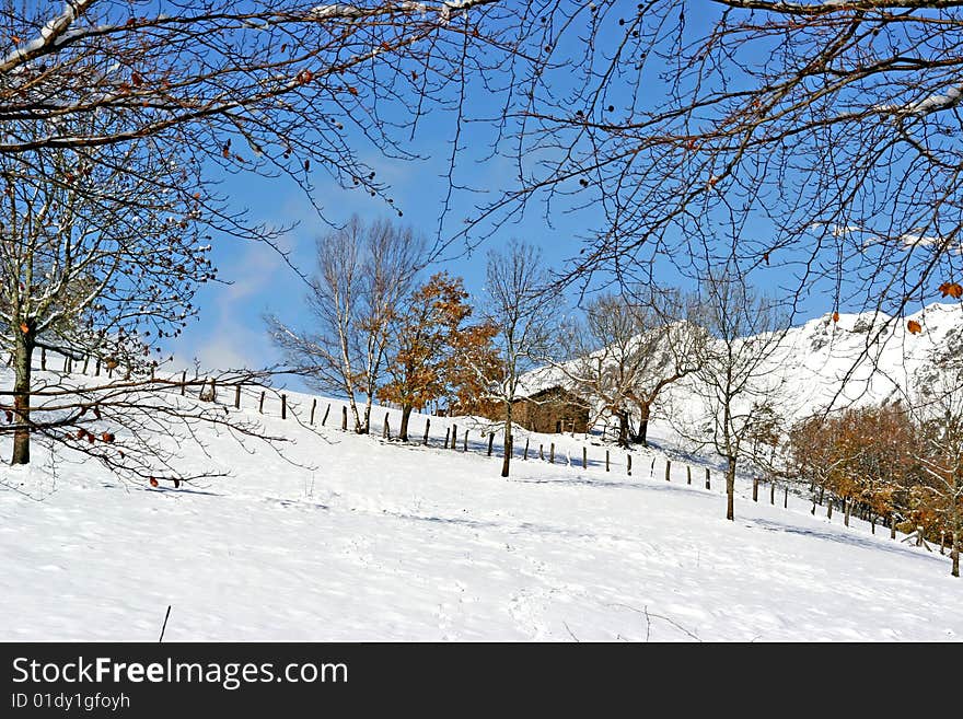 Winter Landscape