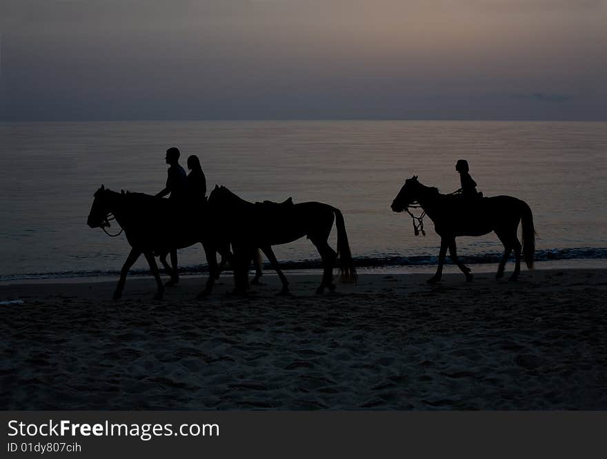 Silhouettes of riders on dawn