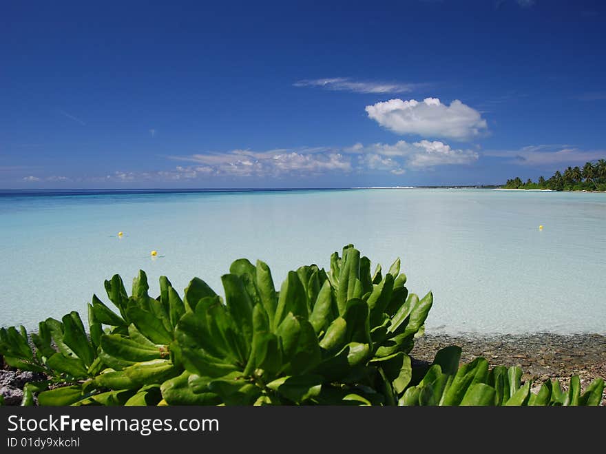 Tropical azure lagoon in the Indian ocean. Tropical azure lagoon in the Indian ocean.