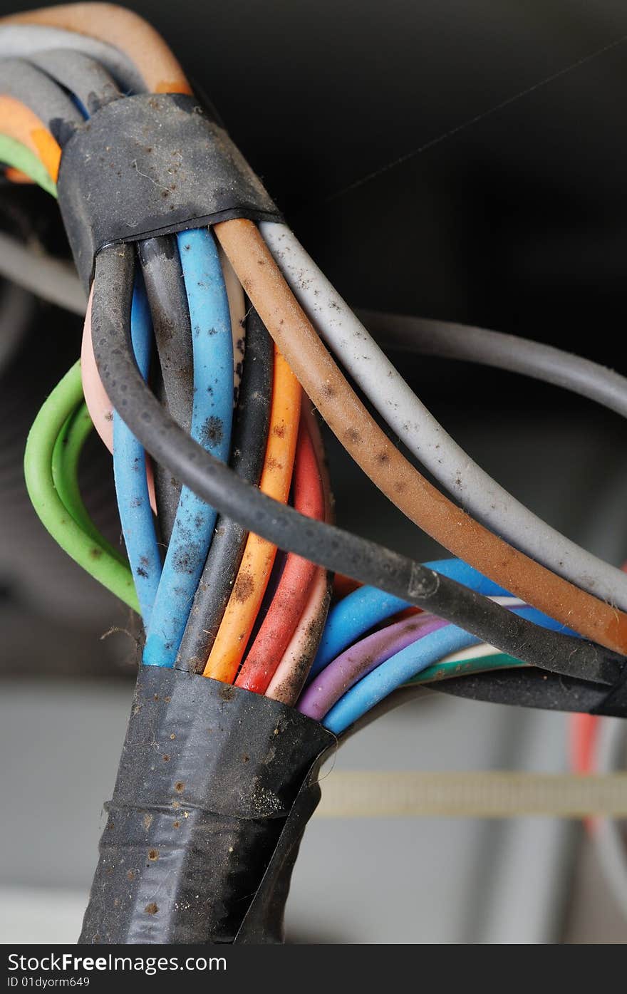 Moldy electric cables.