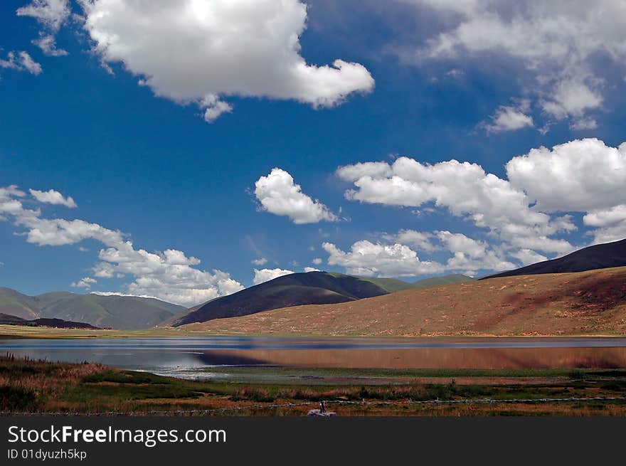 Tibet summer