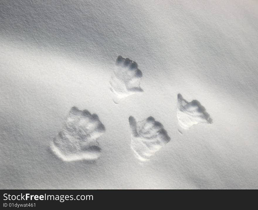 Hand prints on snow background