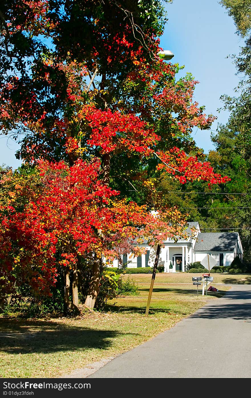 Blue sky and fall leaves with a traditional home in the background.