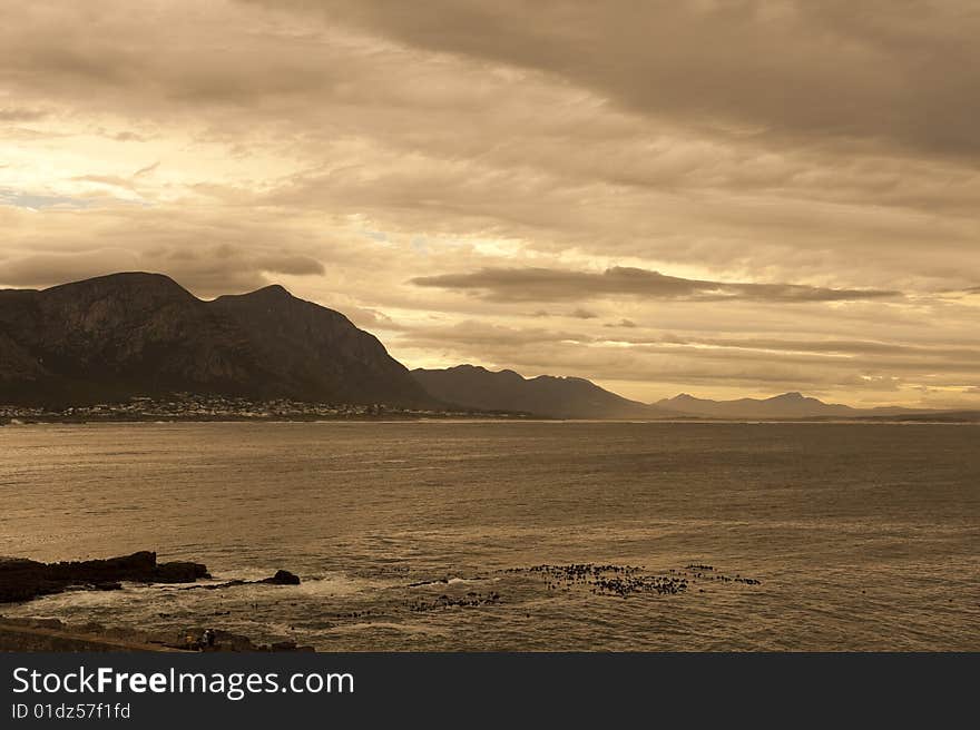 Hermanus, South Africa