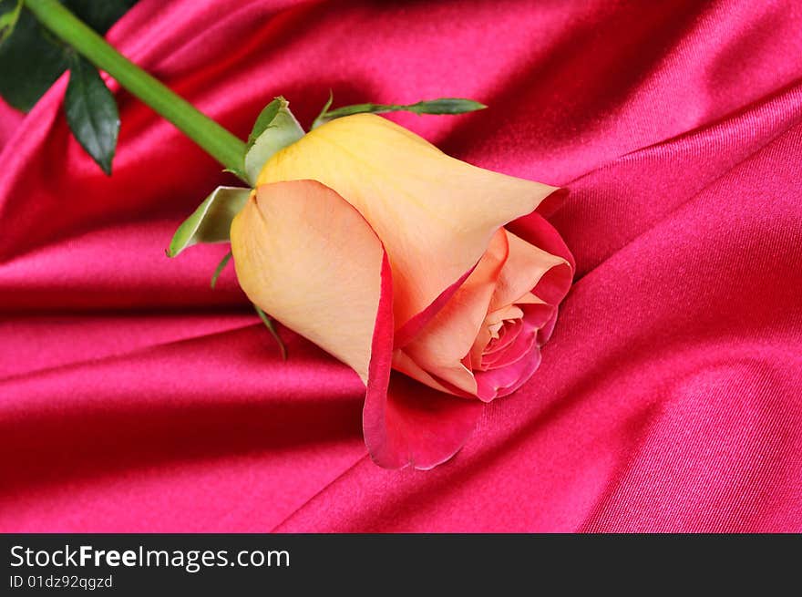 Rose on satin ,quite shallow focus