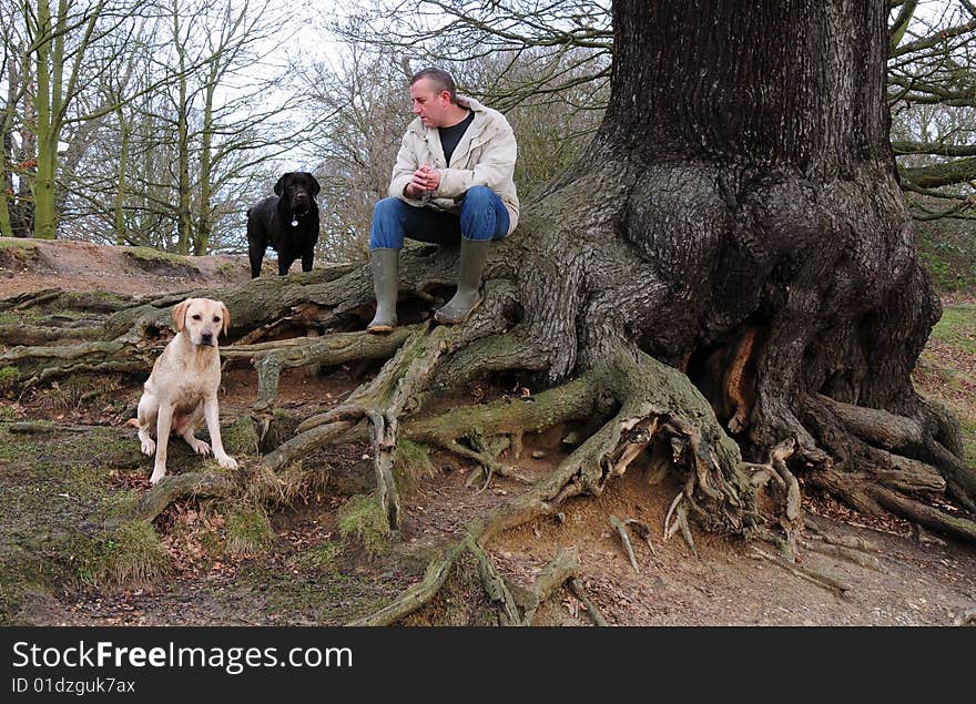 Man and his dogs in the forest. Man and his dogs in the forest