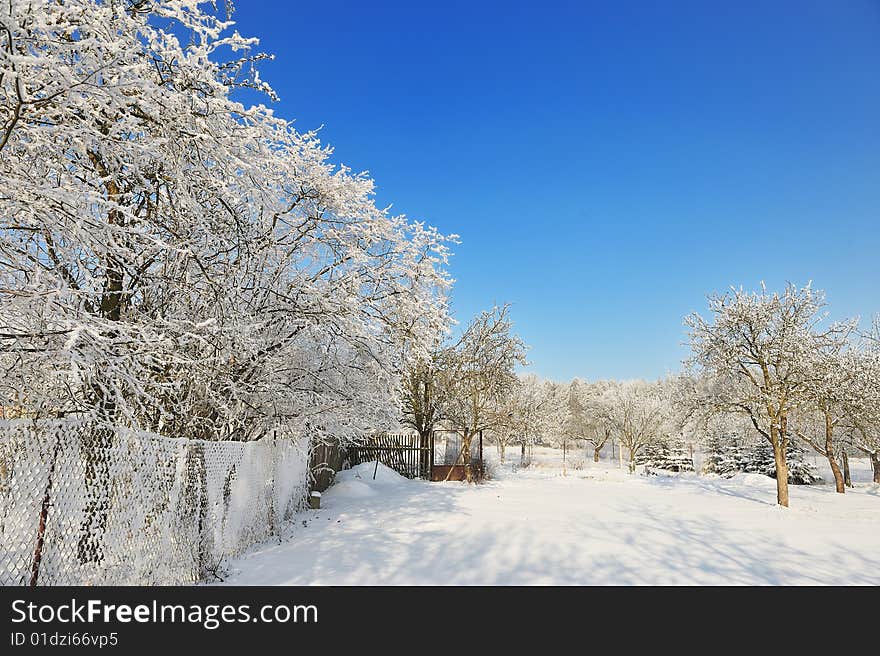 Czech republic garden in winter time beautiful blue sky white trees and snow gate with wire fence