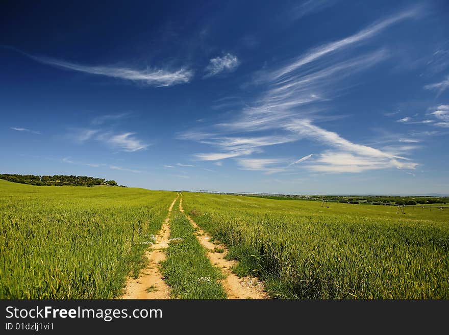 Road path in beautiful spring landscape