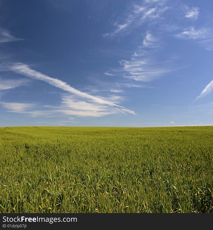 Beautiful spring landscape