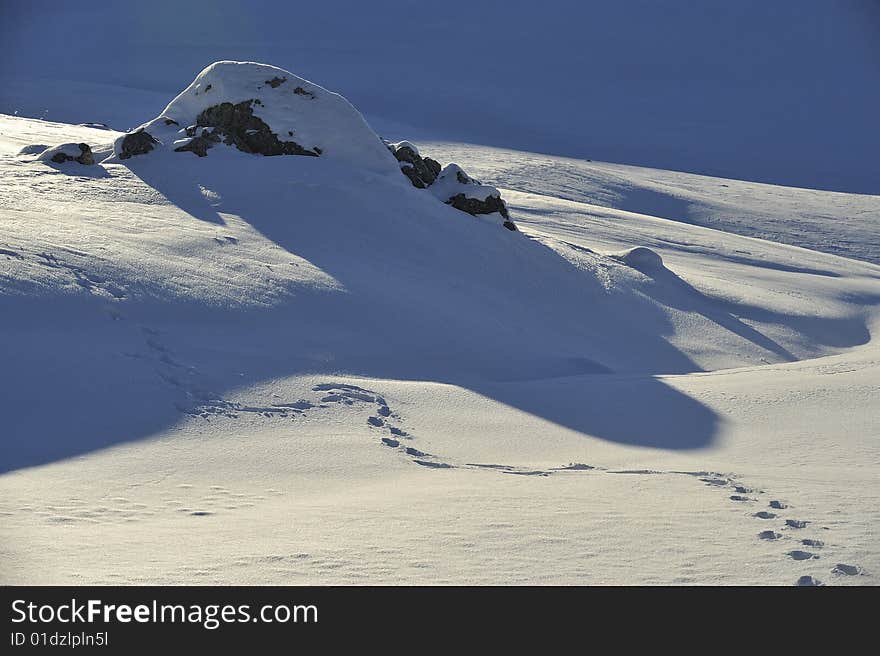 Snow detail at the north