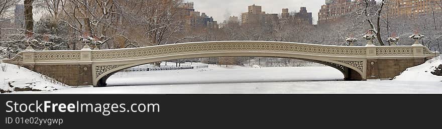 Winter In Central Park