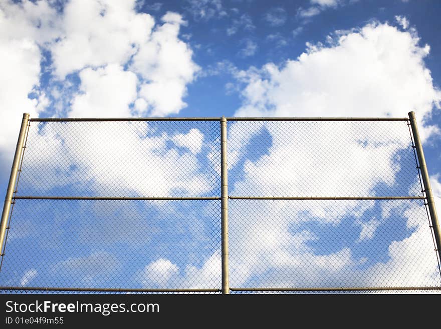 Fence And Sky