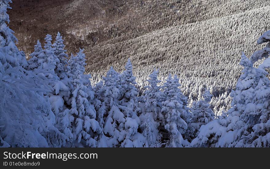 Landscape in Winter