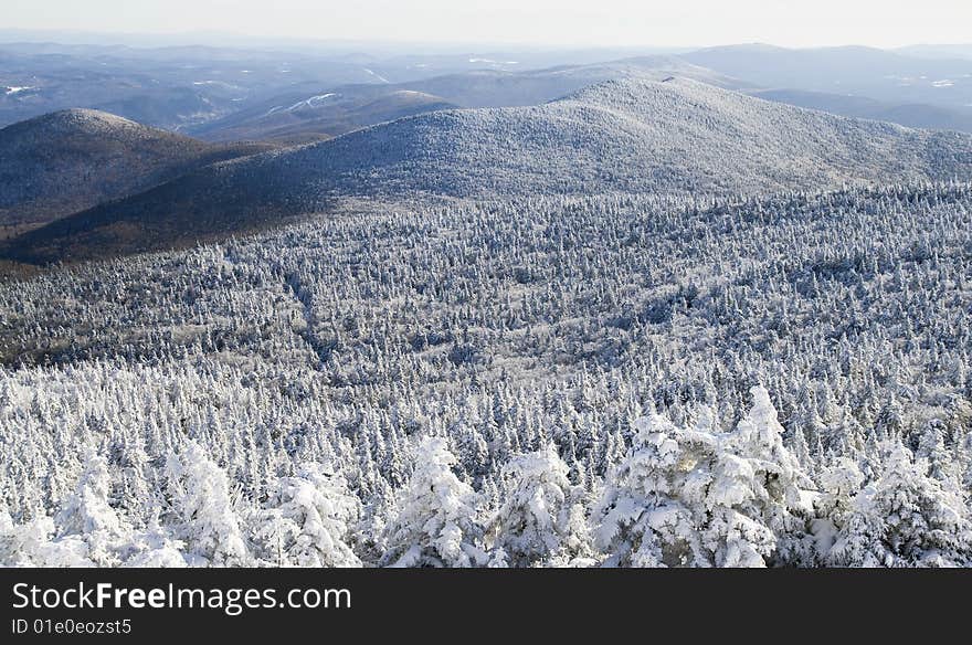 Landscape In The Winter