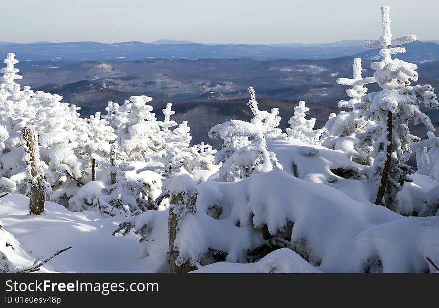 In the Mountains in the winter