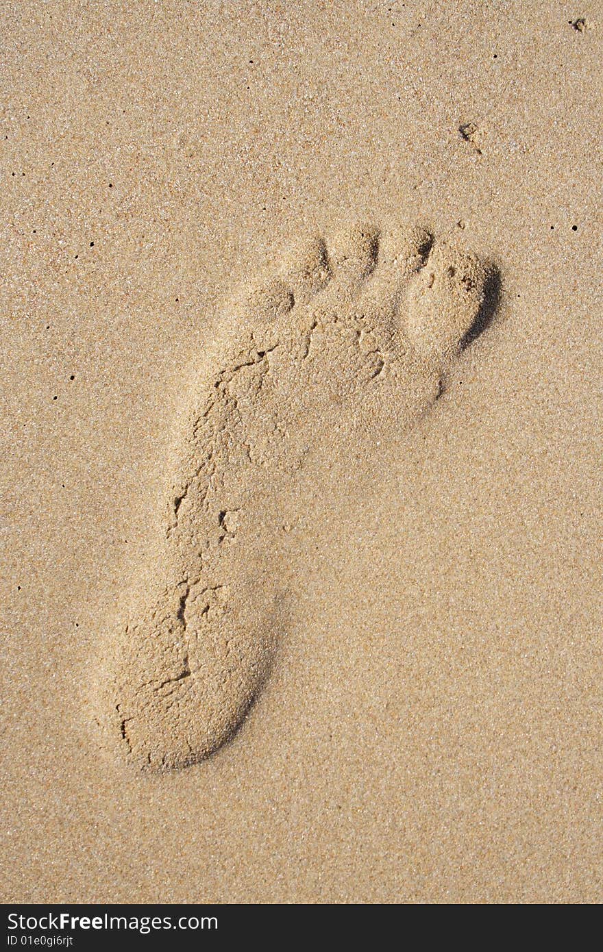 Foot-print In Sand