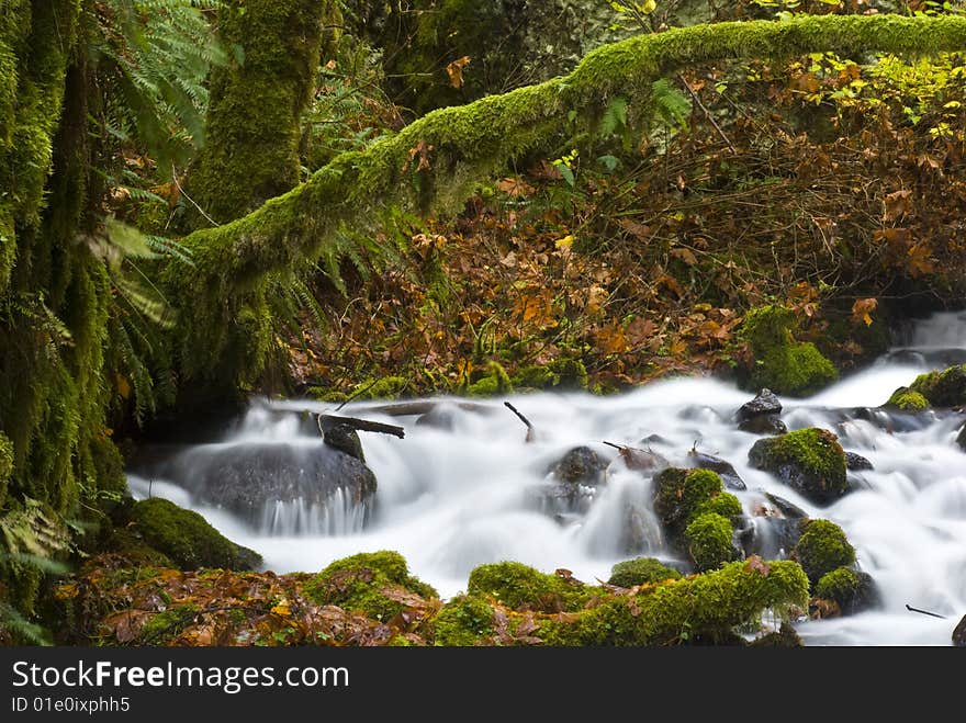 A motion blur shot of water flowing rapidly down a stream in the Columbia River Gorge. A motion blur shot of water flowing rapidly down a stream in the Columbia River Gorge.