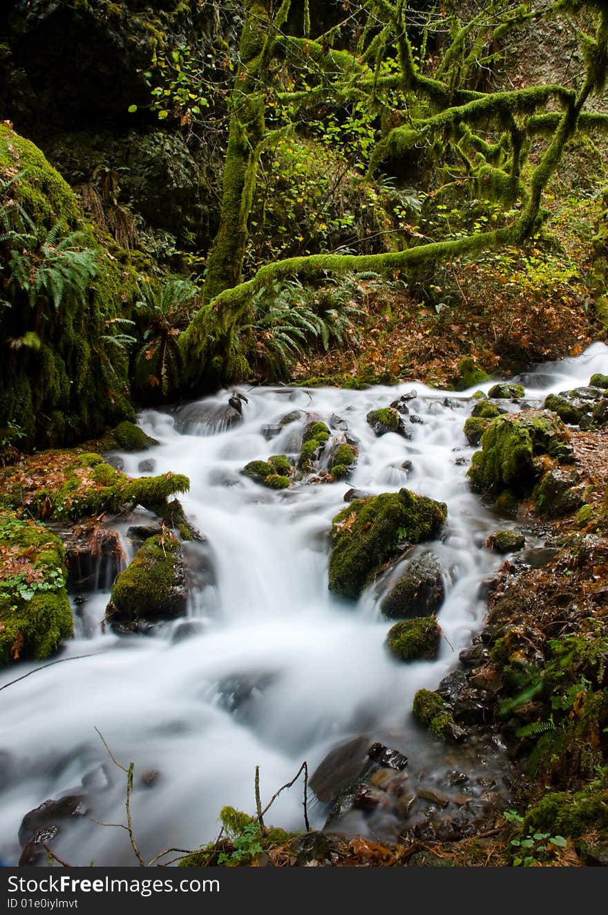 A motion blur shot of water flowing rapidly down a stream in the Columbia River Gorge. A motion blur shot of water flowing rapidly down a stream in the Columbia River Gorge.