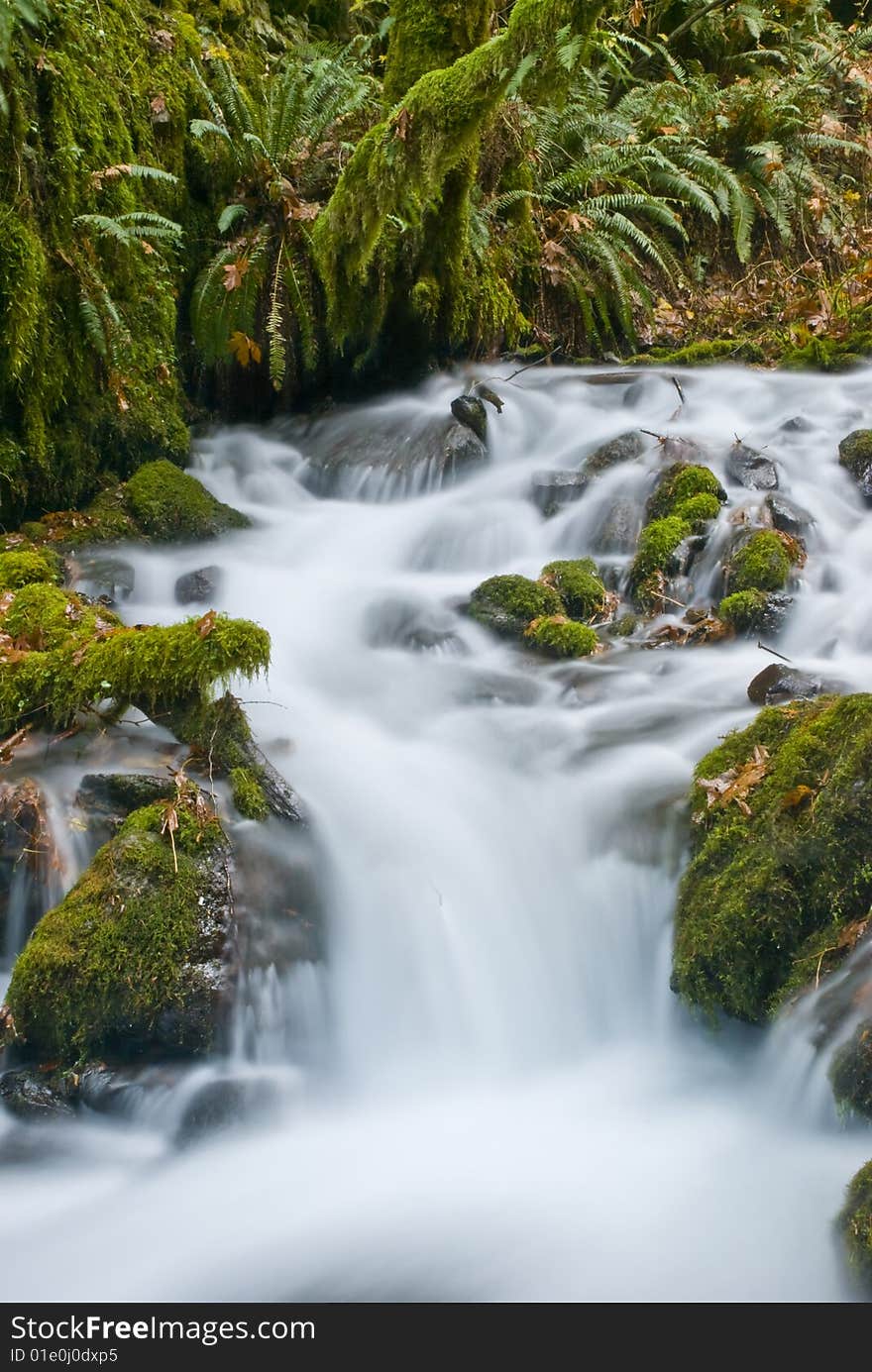 A motion blur shot of water flowing rapidly down a stream in the Columbia River Gorge. A motion blur shot of water flowing rapidly down a stream in the Columbia River Gorge.