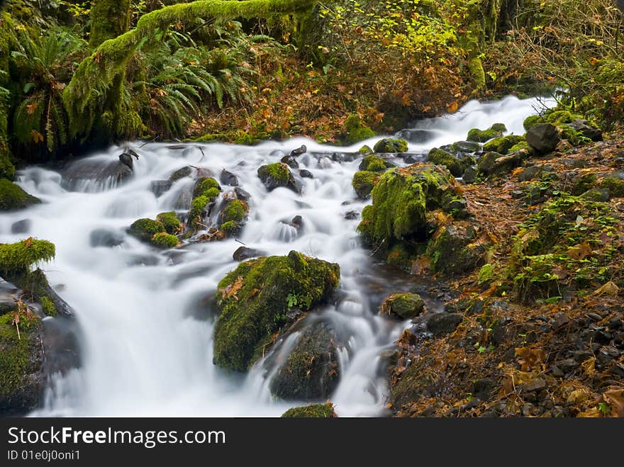 Small creek in the gorge