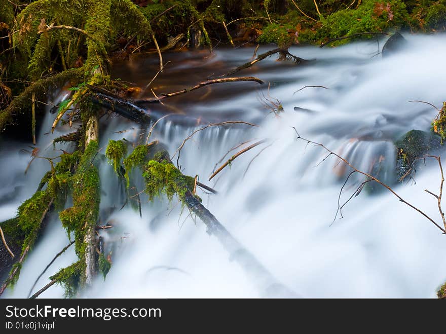 Small creek in the gorge