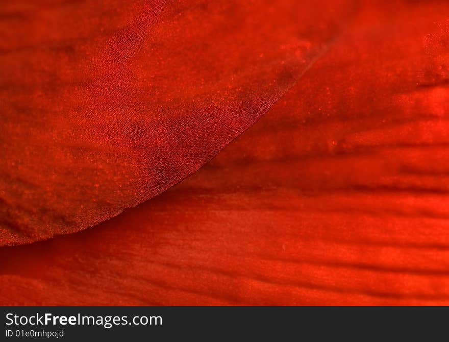 Red Texture