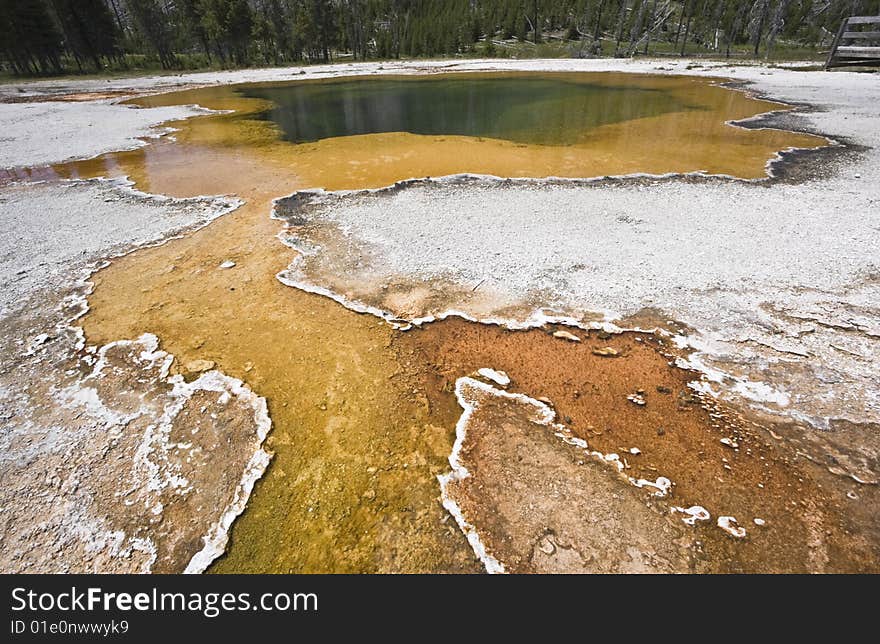 Yellowstone