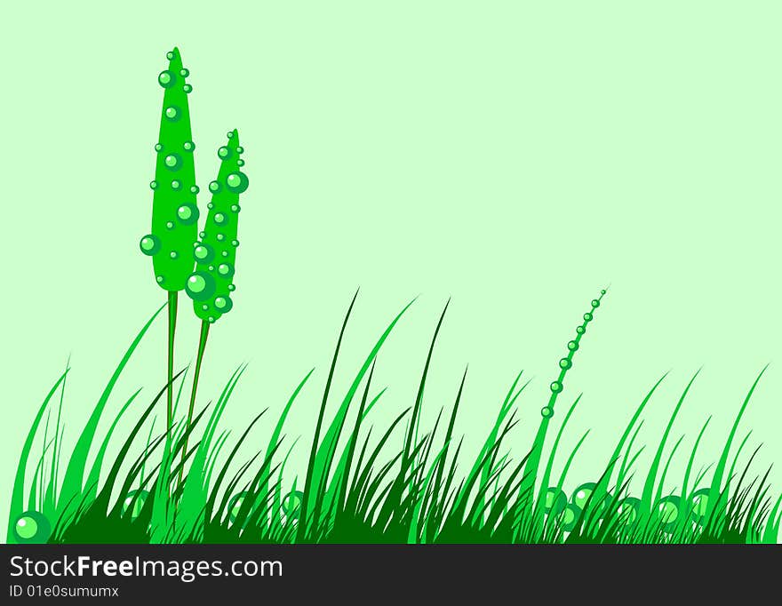 Stock photo: nature theme: an image of dew on the grass