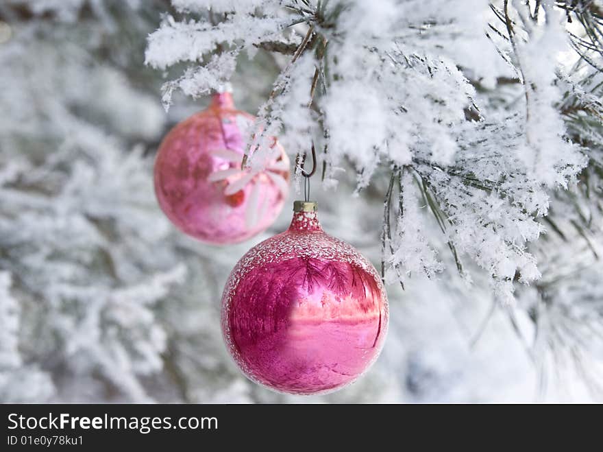 Two New Year's decoration balls on a snowy branch