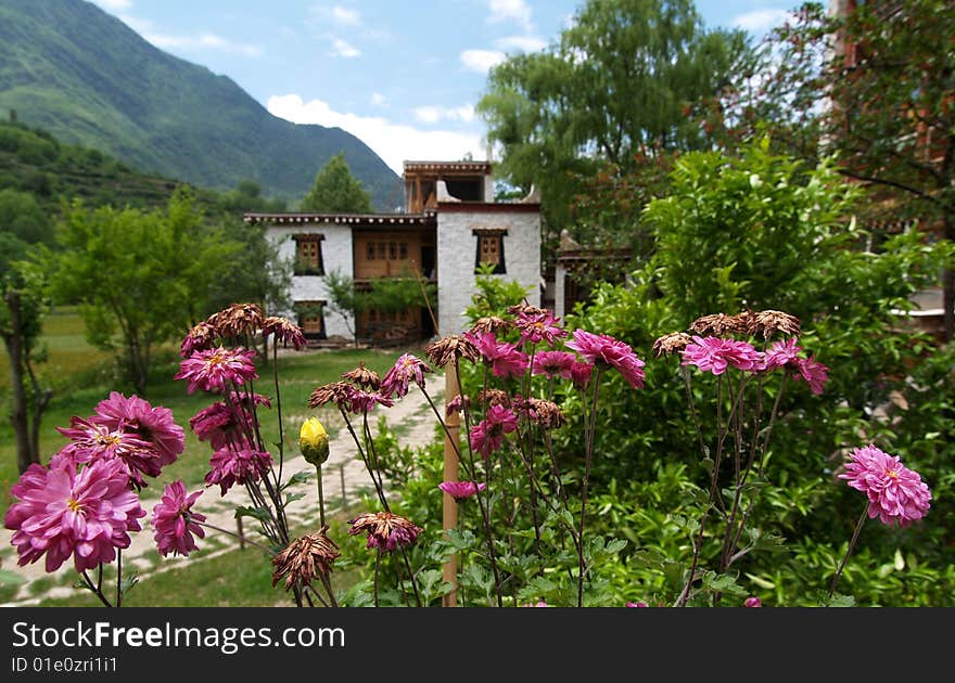 Tibetan House