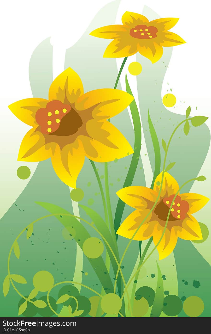 This illustration depicts beautiful narcissuses