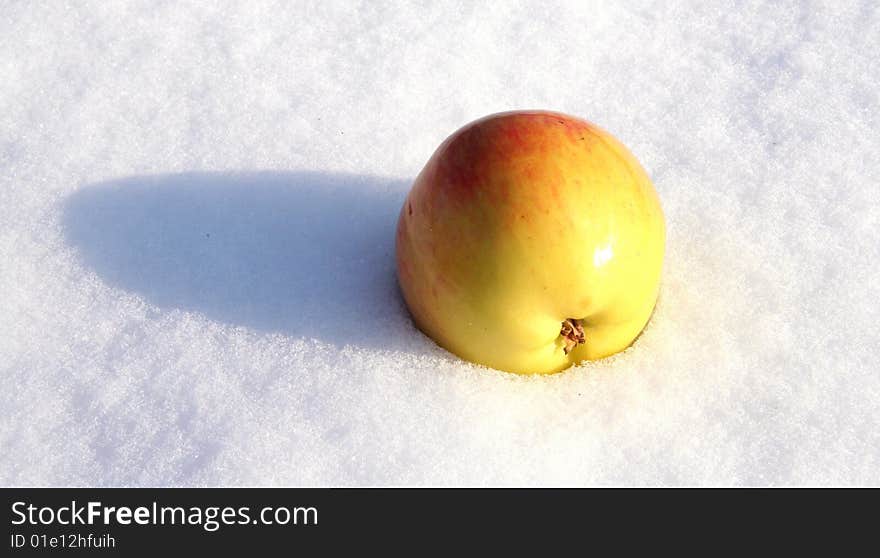 Apple on snow background.