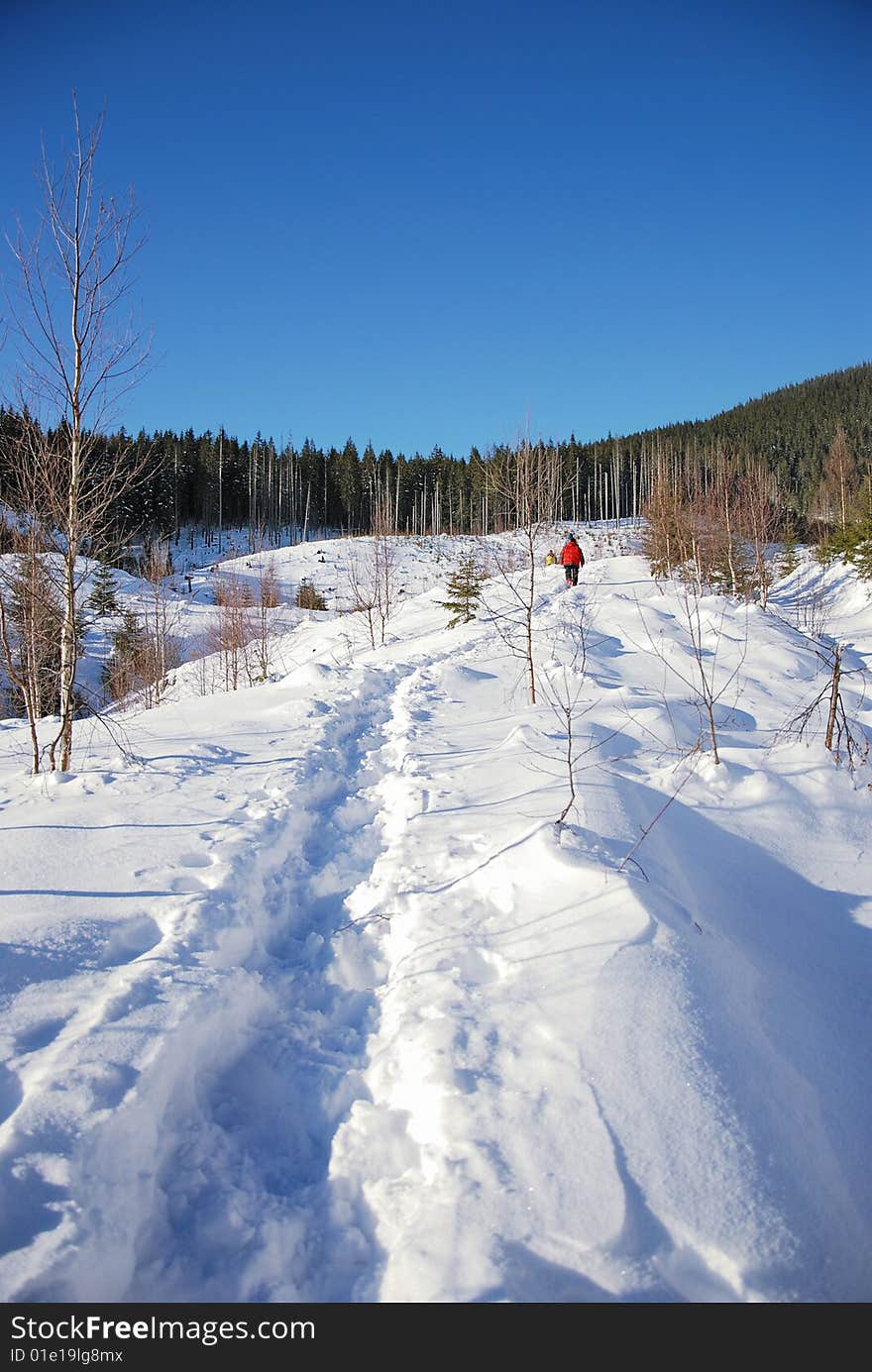 Snow Path