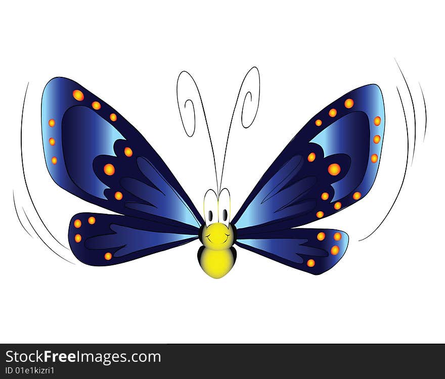 Vector illustration blue butterfly fly