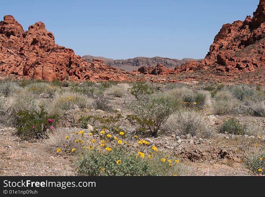 Valley Of Fire, Nevada